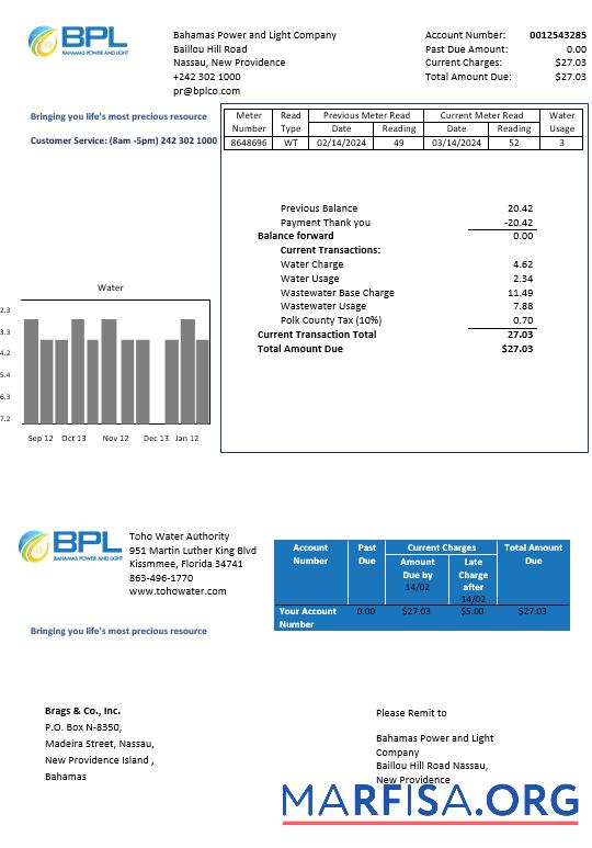 Printable Bahamas Power and Light Company business utility bill template in Word and PDF format